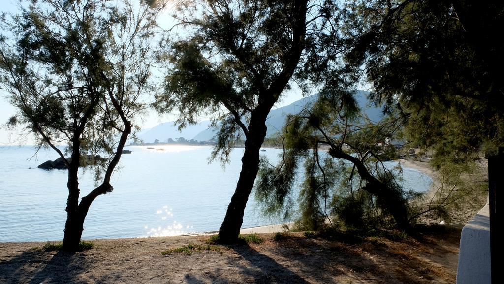 Testa Di Monaco Natural Beach Capo dʼOrlando Εξωτερικό φωτογραφία